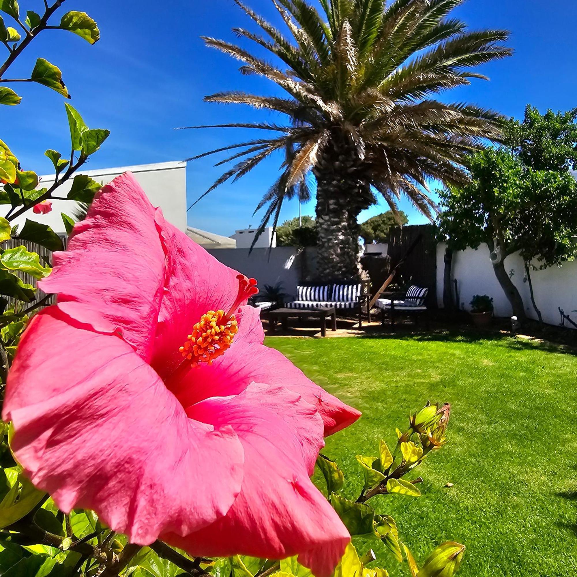 Swept Away Guesthouse - No-Loadshedding Yzerfontein Εξωτερικό φωτογραφία
